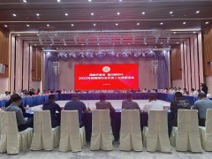 团结齐奋进 建功新时代 2022年闽籍商协会负责人交流茶话会在莞成功召开